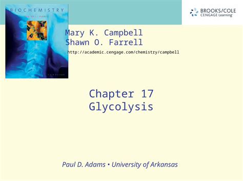 Ppt The Overall Pathway Of Glycolysis Dokumentips