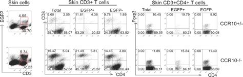 Ccr10 Regulates Balanced Maintenance And Function Of Resident