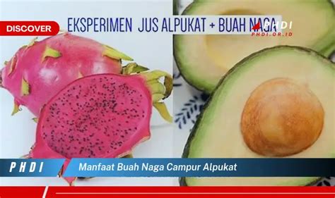 Temukan 7 Manfaat Buah Naga Campur Alpukat Yang Jarang Diketahui