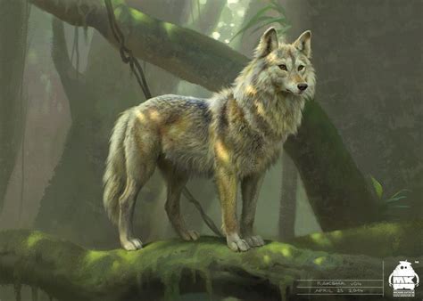 Character Design: Wolf in the Woods