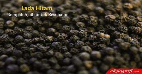 Lada Hitam Rempah Ajaib Penuh Manfaat Untuk Kesehatan