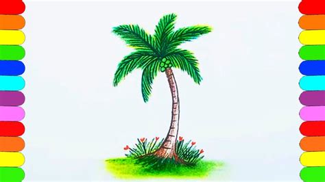 How To Draw Coconut Tree