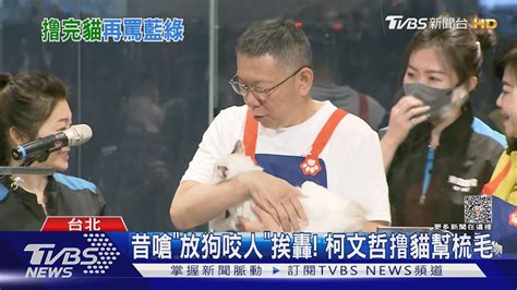 昔嗆「放狗咬人」挨轟 柯文哲撸貓幫梳毛｜tvbs新聞 Tvbsnews01 Youtube