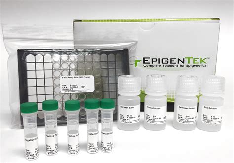 Epigentek Complete Solutions For Epigenetics