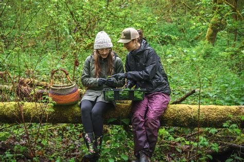 Learn to Forage with a Chef - Foraging with you