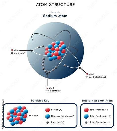 Stockvektorbilden Atom Structure Infographic Diagram Showing Example Of