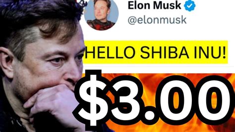 NEW ELON MUSKS TWITTER SOLUTION TO TURN SHIBA INU TO 3 00 TOKEN