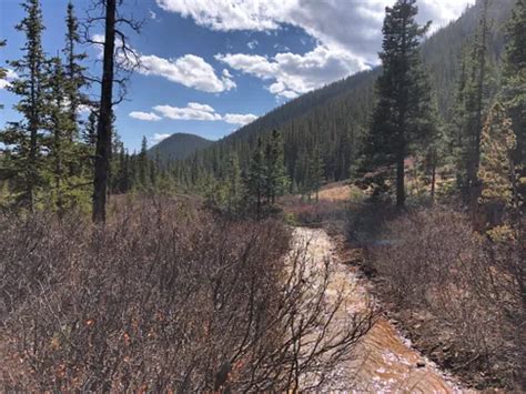 Best Off Road Driving Trails In White River National Forest Alltrails