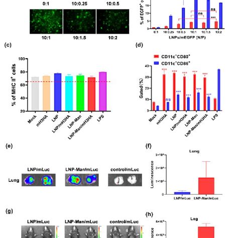 Characterization Of Lipid Nanoparticles Lnps And Lnps Mrna A B Tem