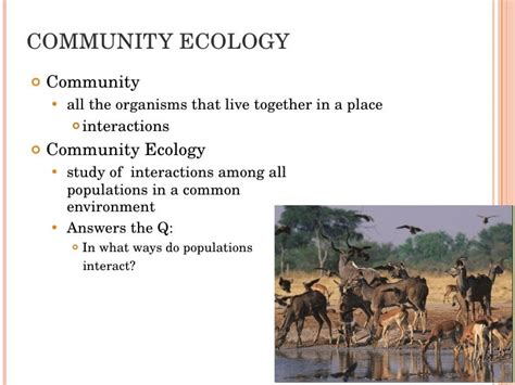 Community Ecology