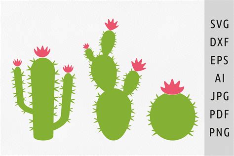 Cactus Desert Svg Succulent Clipart Graphic By Julias Digital Designs