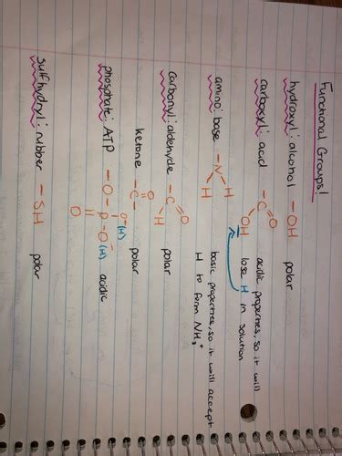 Biochemistry Flashcards | Quizlet 