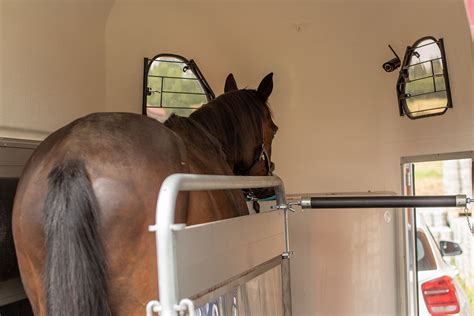 Reisen Mit Kamera Im Pferdeanh Nger Der Reitsport Blog