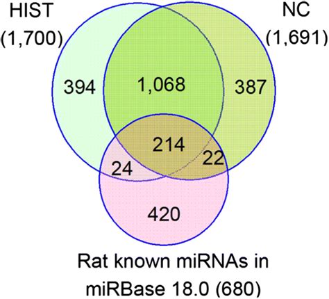 Genome Wide Identification Of Brain MiRNAs In Response To High