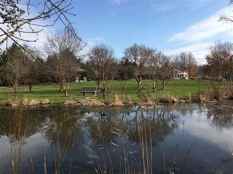 The Webster Arboretum At Kent Park