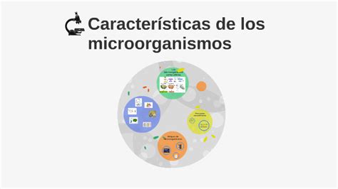 Microorganismo Concepto Tipos Caracteristicas Y Ejemplos Images