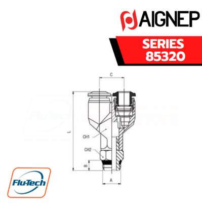 AIGNEP SERIES 85320 ORIENTING Y MALE ADAPTOR