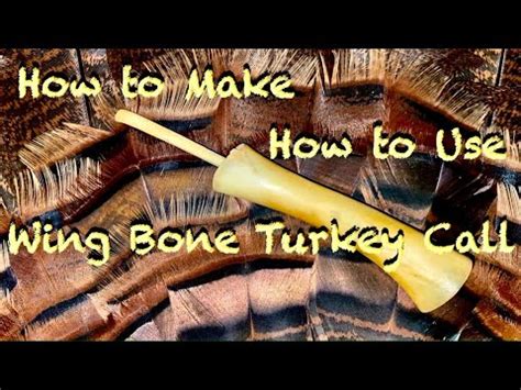 How To Make A Wing Bone Turkey Call How To Use A Wing Bone Turkey