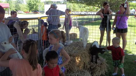 Mobile Petting Zoo — Ericksons Petting Zoo