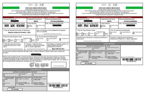 Printable Mexico Fmm Form English