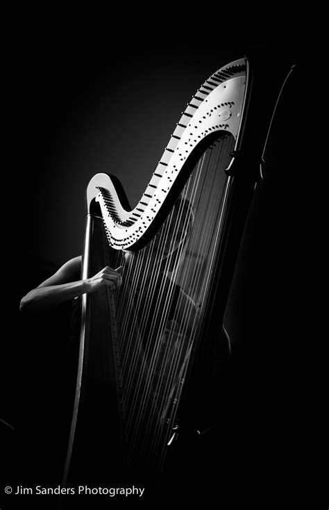 Harpist Musician Portraits Musician Photography Unique Photography