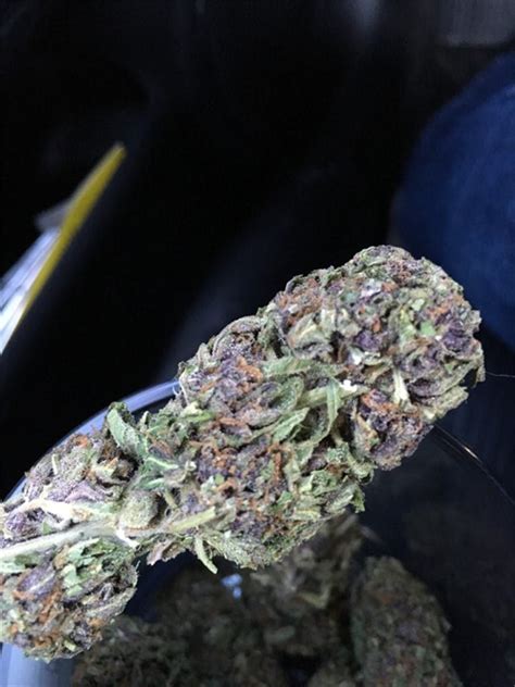 Purple Skunk Weed Strain Information | Leafly