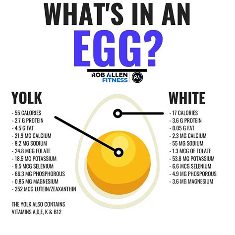 🥚whats In An Egg🥚 Follow Roballenfitness For More Fitness