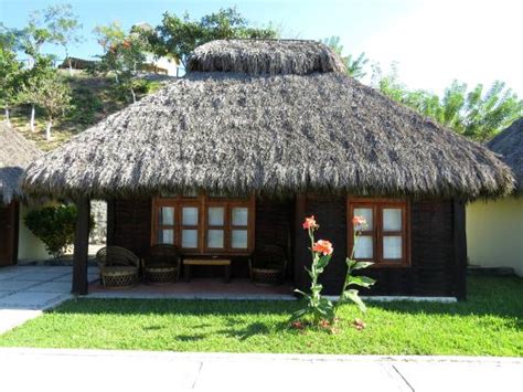 Casas Con Techos De Paja Diferentes Estilos De Construcci N