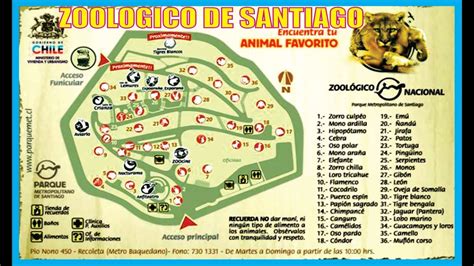 Zoológico de Santiago Chile Producciones Vicari Juan Franco Lazzarini