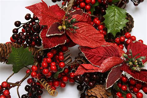 Red Holly Background And Picture For Free Download Pngtree