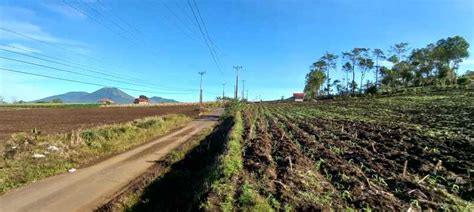 Dijual Tanah Puncak Wawo Tomohon Samping Cartenz Hills