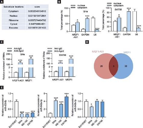 Lncrna Nr F As Inhibits The Malignant Properties Of Cervical Cancer