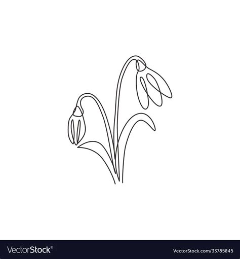 Single Continuous Line Drawing Beauty Fresh Vector Image