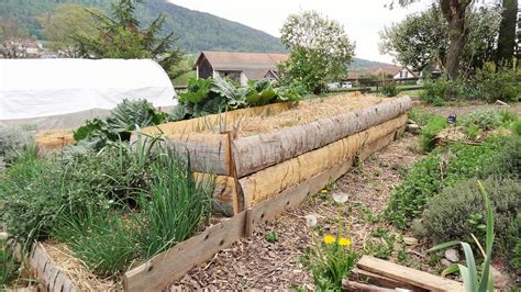 Jardin En Permaculture Cr Er Une Butte Sur Lev E Vis La Permaculture