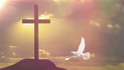 Holy Spirit In A Form Of Dove Easy Worship Background Video Loop