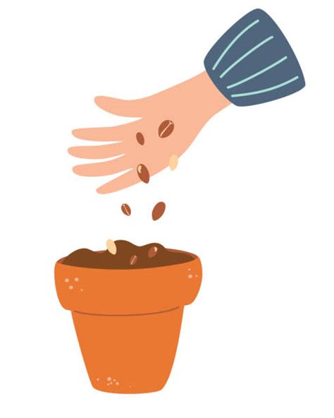 Planting Seeds Cartoon Illustrations Royalty Free Vector Graphics