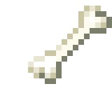 Minecraft Bone Contest Pixel Art