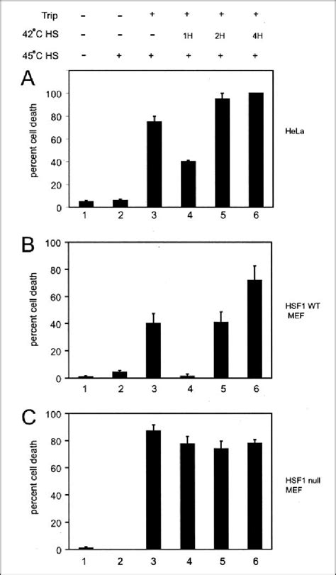 Triptolide Inhibits Cytoprotection And Enhances Stress Induced Cell