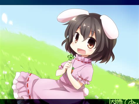 Animal Ears Black Hair Brown Eyes Bunny Ears Bunnygirl Grass Inaba Tewi