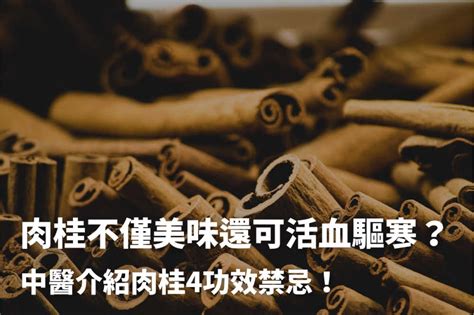 骨折、骨裂、骨碎的分別？骨折種類及傷後照護大詳解！ 健康010