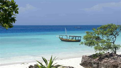 Day Serengeti Safari Zanzibar Beach Excursion Honeymoon Special