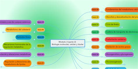 Módulo 2 Parte 2 Biología Molecular Celular Y Mindmeister Mind Map