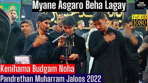 New Kashmiri Noha Myane Asgaro Beha Lagay Kenihama Budgam Noha