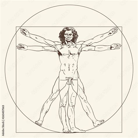 The Vitruvian Man Le Proporzioni Del Corpo Umano Secondo Vitruvio The