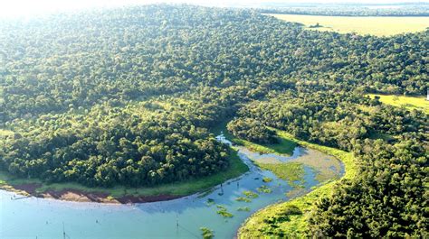 Parques Nacionales del Paraguay Deberían ser áreas silvestres