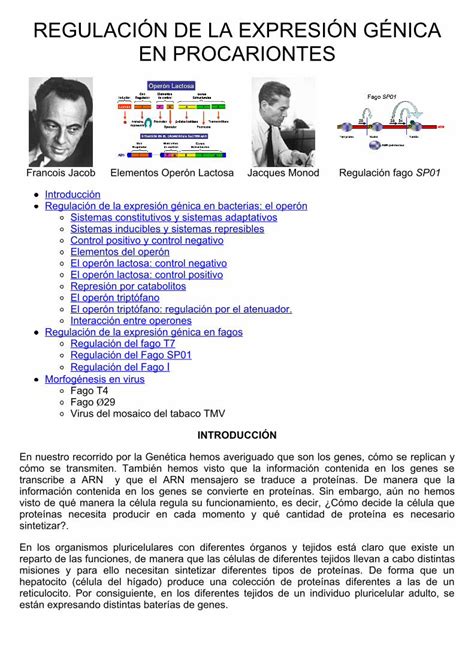 Pdf Regulaci N De La Expresi N G Nica En Procariontes Ucm Es Pdf