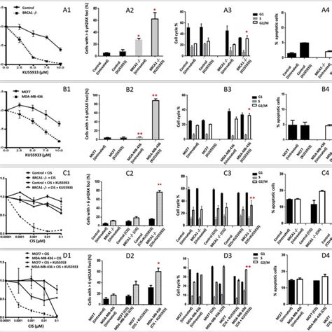 E ATM Inhibitors In BRCA1 Deficient And BRCA1 Proficient Cells A1