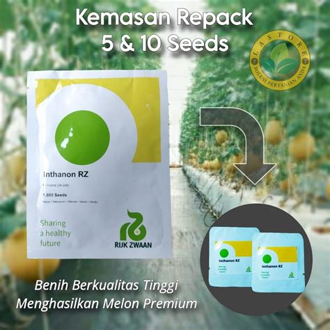 Jual Benih Melon Inthanon Rz Repack Dan Butir Rijk Zwaan Shopee