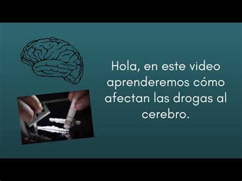 C Mo Afectan Las Drogas Al Cerebro Youtube