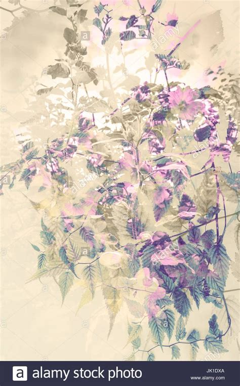 artistic floral background  subtle flowers stock photo floral